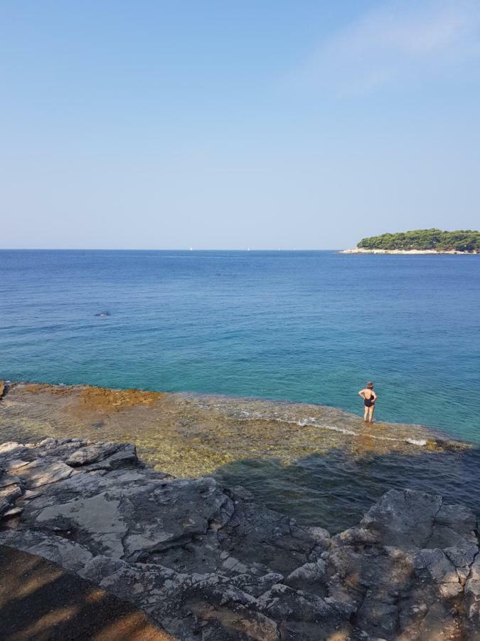 Leut Apartment, 3Min Beach, 15Min Center PUY 외부 사진